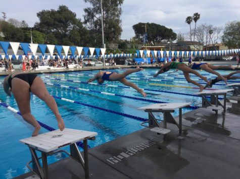 2019 Winter Sports Recap