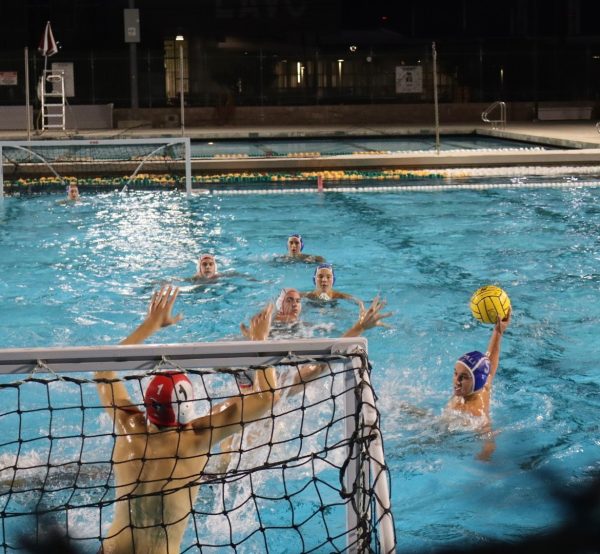 Dolphins’ 11-Year Run Ends in Water Polo Final