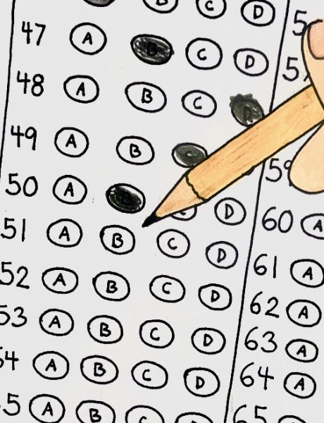 Students are More than their Test Scores